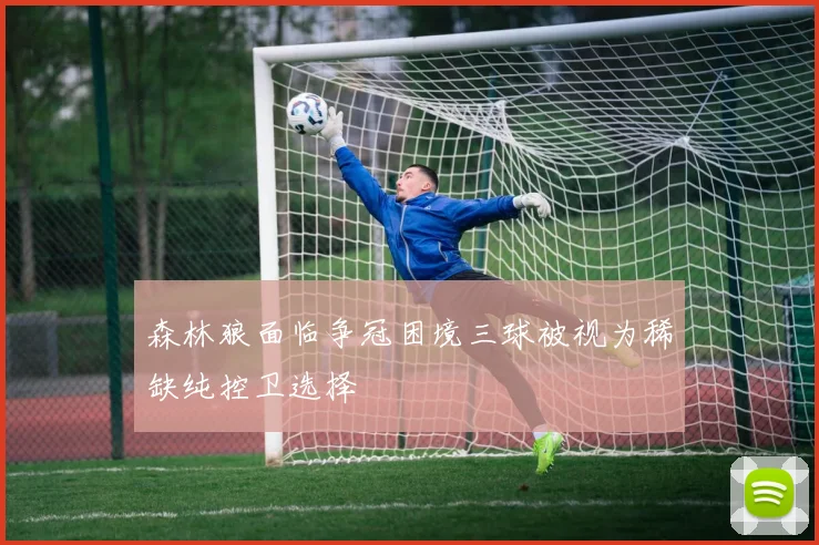 森林狼面临争冠困境三球被视为稀缺纯控卫选择