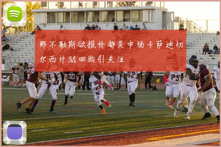 那不勒斯欲报价都灵中场卡萨迪切尔西计划回购引关注